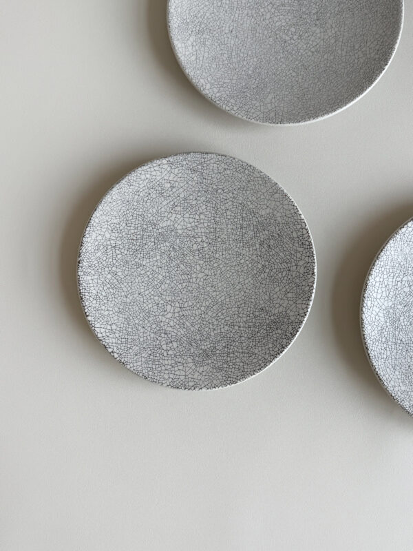 KOYO crack plate